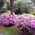 Bed & Breakfast Gli Oleandri