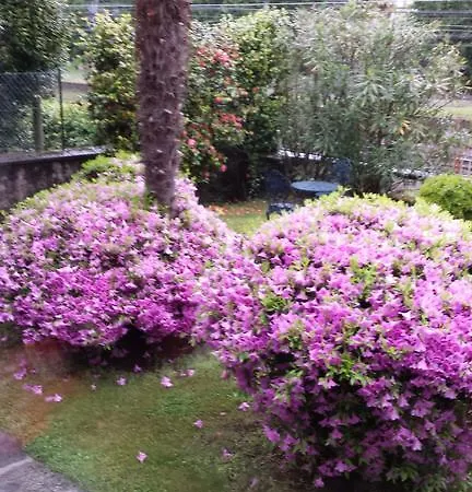 Bed and Breakfast Gli Oleandri