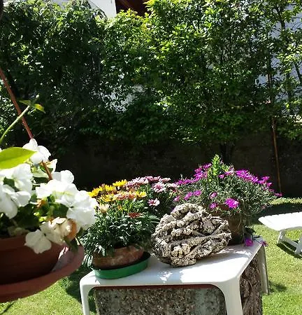 Gli Oleandri 斯特雷萨