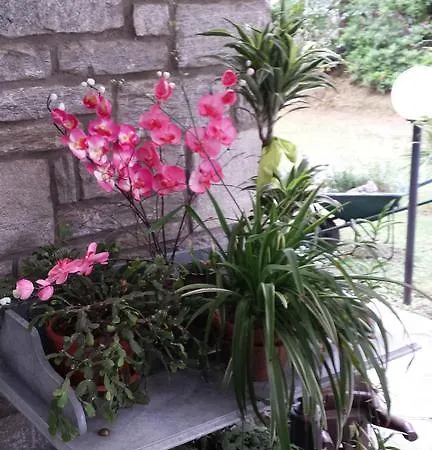 Gli Oleandri Στρέσα