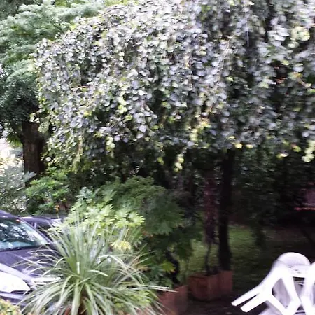 Gli Oleandri 3* 斯特雷萨