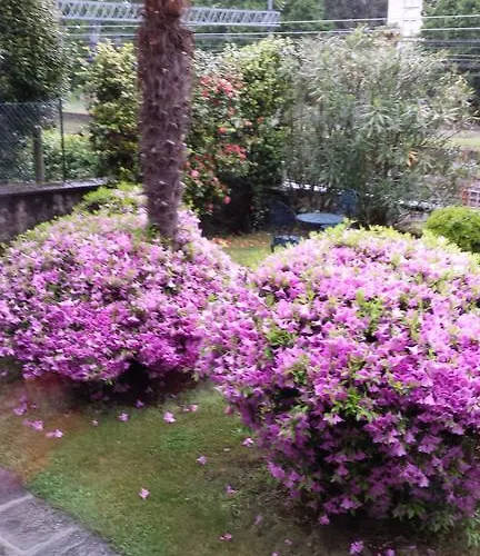 Готель типу 