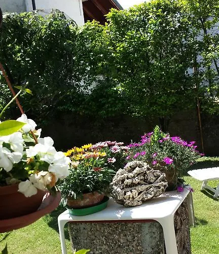 Gli Oleandri 斯特雷萨