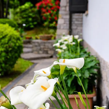 Gli Oleandri B&B 스트레사